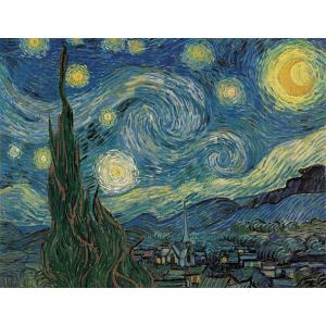 絵画 複製名画 キャンバスアート 世界の名画シリーズ ヴィンセント・ヴァン・ゴッホ 「 星月夜 」 サイズ 10号｜touo