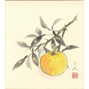 色紙(冬)中谷 文魚作画「柚子」 色紙寸法24....の商品画像