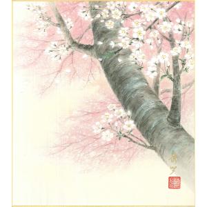 色紙(春)中谷 康多作画「桜」 色紙寸法24.2...の商品画像