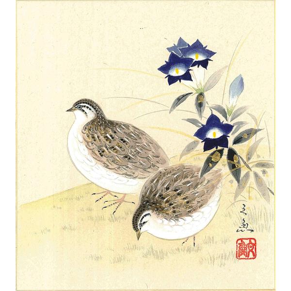 色紙（秋）中谷 文魚作画「うずら」 色紙寸法24.2X27.2cm