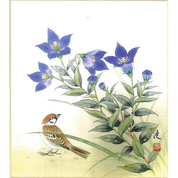 色紙（秋）中村 凌作画「桔梗」 色紙寸法24.2X27.2cm