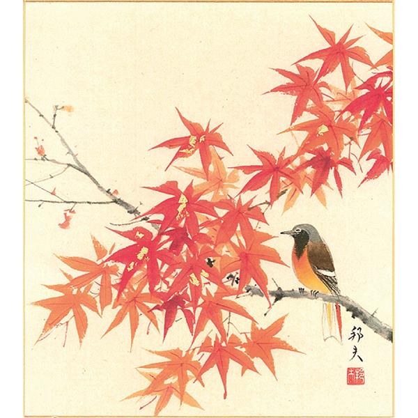 色紙（秋）片山 邦夫作画「紅葉」 色紙寸法24.2X27.2cm