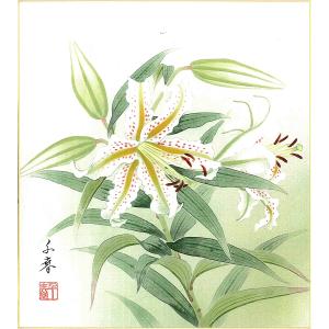 誕生花色紙（誕生花 風水四季花）中村 千春作画「百合（7月）」 色紙寸法24.2X27.2cm
