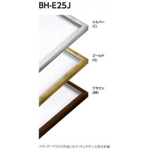 デッサン用額縁 樹脂製フレーム BH-E25J サイズ半切｜touo