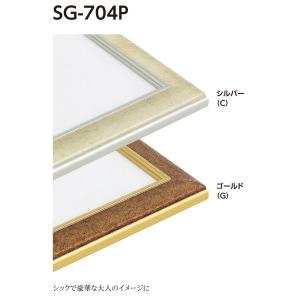 水彩用額縁 アルミフレーム 大サイズ軽量タイプ SG-704P サイズ水彩全紙｜touo