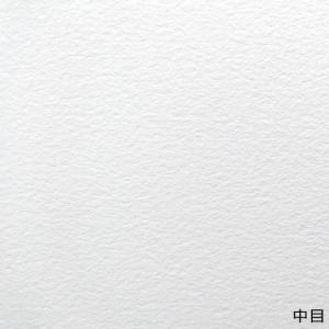 画材用紙 BOX セザンヌ水彩紙（中性紙） 300G 中目 F50号用 3枚入｜touo