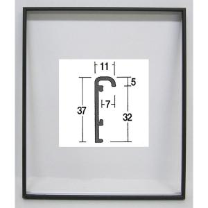 油彩キャンバス F10 額縁 壁掛け ケース ボックス 箱型 奥行 絵画 油絵