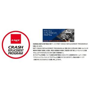 [クラッシュリプレイスメントプログラム対象モデ...の詳細画像5