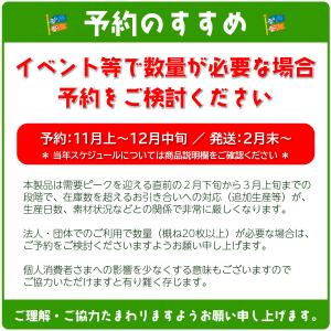 [ダイヤ鯉] 白鯉 お絵描きできる真っ白な無地...の詳細画像3