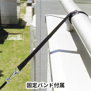 [ワタナベ鯉] お手軽セット かなめ 1.2セ...の詳細画像1
