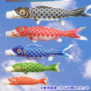[ワタナベ鯉] お手軽セット かなめ 1.2セ...の詳細画像3