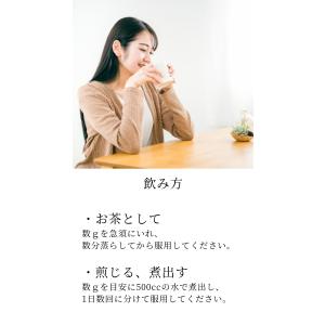 とうもろこしのひげ150g 農薬検査済 コーン...の詳細画像5