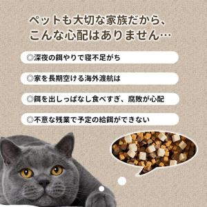 給餌器 給水器 ペット 自動的 猫用 多頭飼い...の詳細画像1