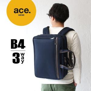 エースジーンレーベル EVL-3.5