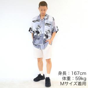 PORTER CLASSIC ALOHA CO...の詳細画像2
