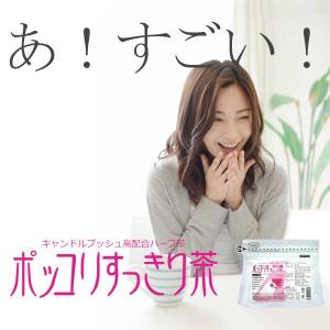 ポッコリすっきり茶(30袋入り)【サプリメント...の詳細画像1