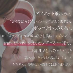 ポッコリすっきり茶(30袋入り)【サプリメント...の詳細画像5
