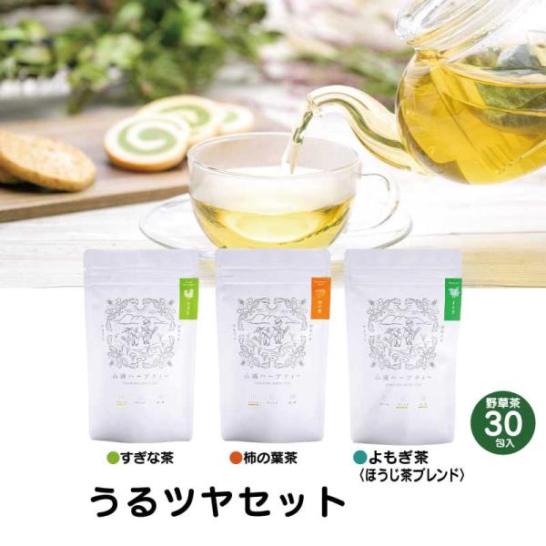 YAMAURA HERB うるツヤセット (すぎな茶 1.5g×10包)(柿の葉茶 1.3g×10包...