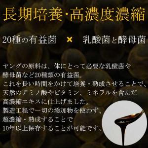 young【ヤング】濃縮液180ml/乳酸菌と...の詳細画像2