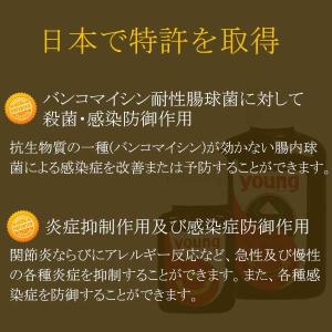young【ヤング】濃縮液180ml/乳酸菌と...の詳細画像4