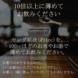 young【ヤング】濃縮液180ml/乳酸菌と...の詳細画像5