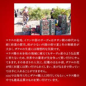 nini ザクロペースト(200g)|Pome...の詳細画像3