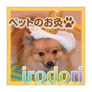 偉大な 棒灸irodori イロドリ Rindouセット ペットのお灸 トワテック 鍼 灸 治療器 Pafootballnews Com