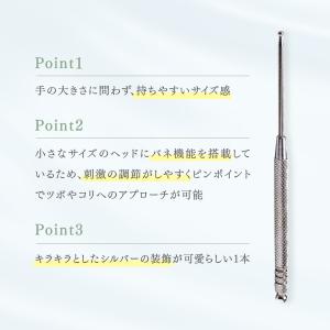 トワテック TEISIN スティック バネ式 ...の詳細画像2