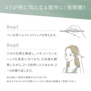 トワテック TEISIN スティック バネ式 ...の詳細画像4