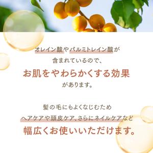 アプリコットカーネルオイル 1000mL【天然...の詳細画像3