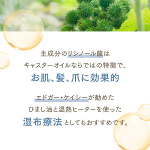 【3本セット】キャスターオイル 300mL【天...の詳細画像3