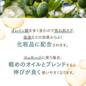 アボカドオイル 300mL【天然100%・精製...の詳細画像3
