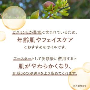 アルガンオイル 300mL 【天然100%・未...の詳細画像3
