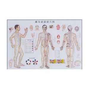 鍼灸経絡経穴図 本 雑誌 コミック の商品一覧 通販 Yahoo ショッピング