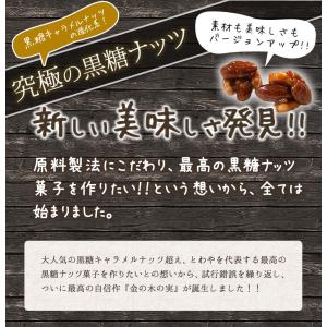 金の木の実「ごろっとアーモンド」袋入り65g(...の詳細画像4