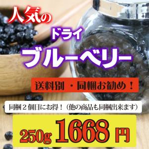 ドライブルーベリー　250ｇ　送料別　アメリカ産　ドライフルーツ　最安値　送料無料と同梱で送料無料！（北海道、沖縄は別途540円）｜towaya