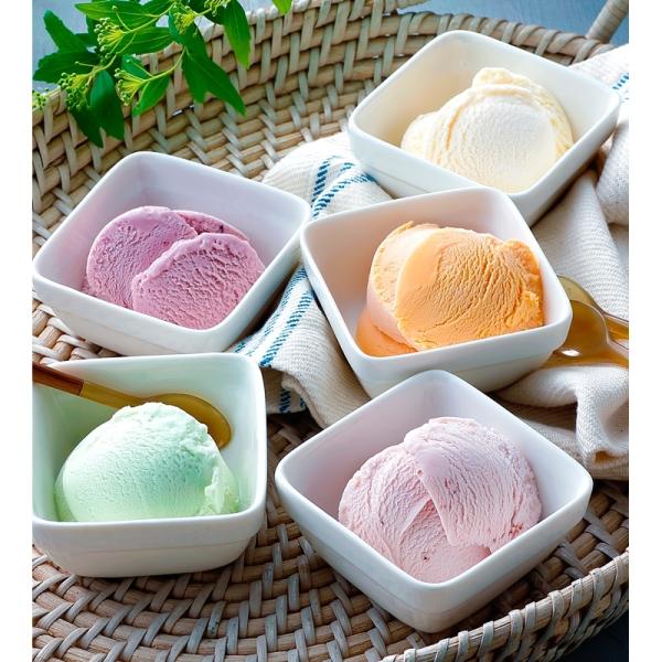 送料無料 乳蔵 北海道アイスクリーム プレミアムバニラ入り 【内祝い 御祝 お中元 御中元 お返し ...