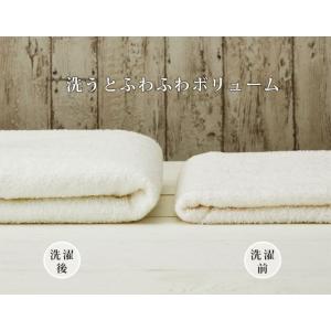 ホテルスタイル 抗菌・防臭 フェイスタオル 送...の詳細画像2