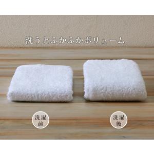 12枚セット まっ白な フェイスタオル 約34...の詳細画像4