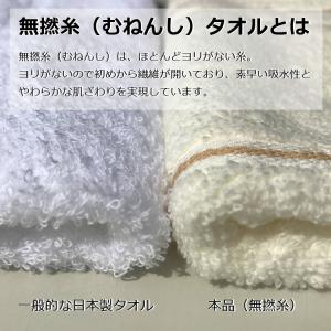 粗品タオル 柄タオル ノーブル 無撚糸 224...の詳細画像1