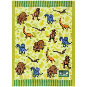 お昼寝 タオルケット アニア コーイグジスト マルチタオル 約85×115cm