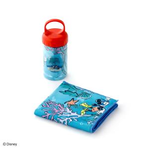 クールタオル SALE Disney ディズニー cool summer ミッキーマウス＆ミニーマウス ギフト プレゼント お祝い 贈り物 タオル美術館 公式 記念品 父の日