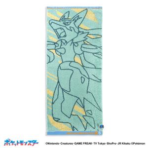 Pokemon（ポケモン） ポケモンセンターオリジナル ハンガー イシツブテ