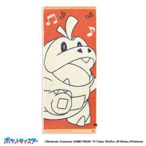 Pokemon（ポケモン） ポケモンセンターオリジナル ハンガー イシツブテ