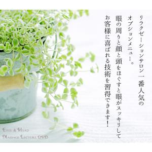 アイヘッドセラピー 解説付き DVD アイ ヘ...の詳細画像3
