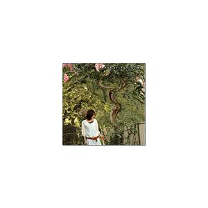 君のいない休日 スズキユイ 12cmCD Single CDA