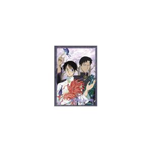 TVアニメーション「xxxHOLiC◆継」DVD第五巻＜通常盤＞ DVD