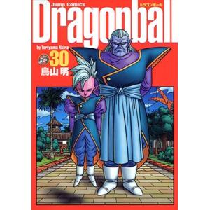 ドラゴンボール　〜2004年版100個限定盾〜 DRAGONBALL ドラゴンボール〜2004年版100個限定盾〜 DRAGONBALL