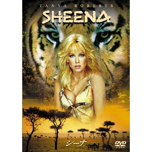 シーナ DVD