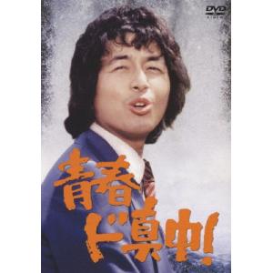 DVD】実戦居合道（業の極意） 古流無双直伝英信流 指導・解説 山崎正博